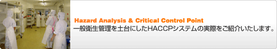 HACCP関連情報